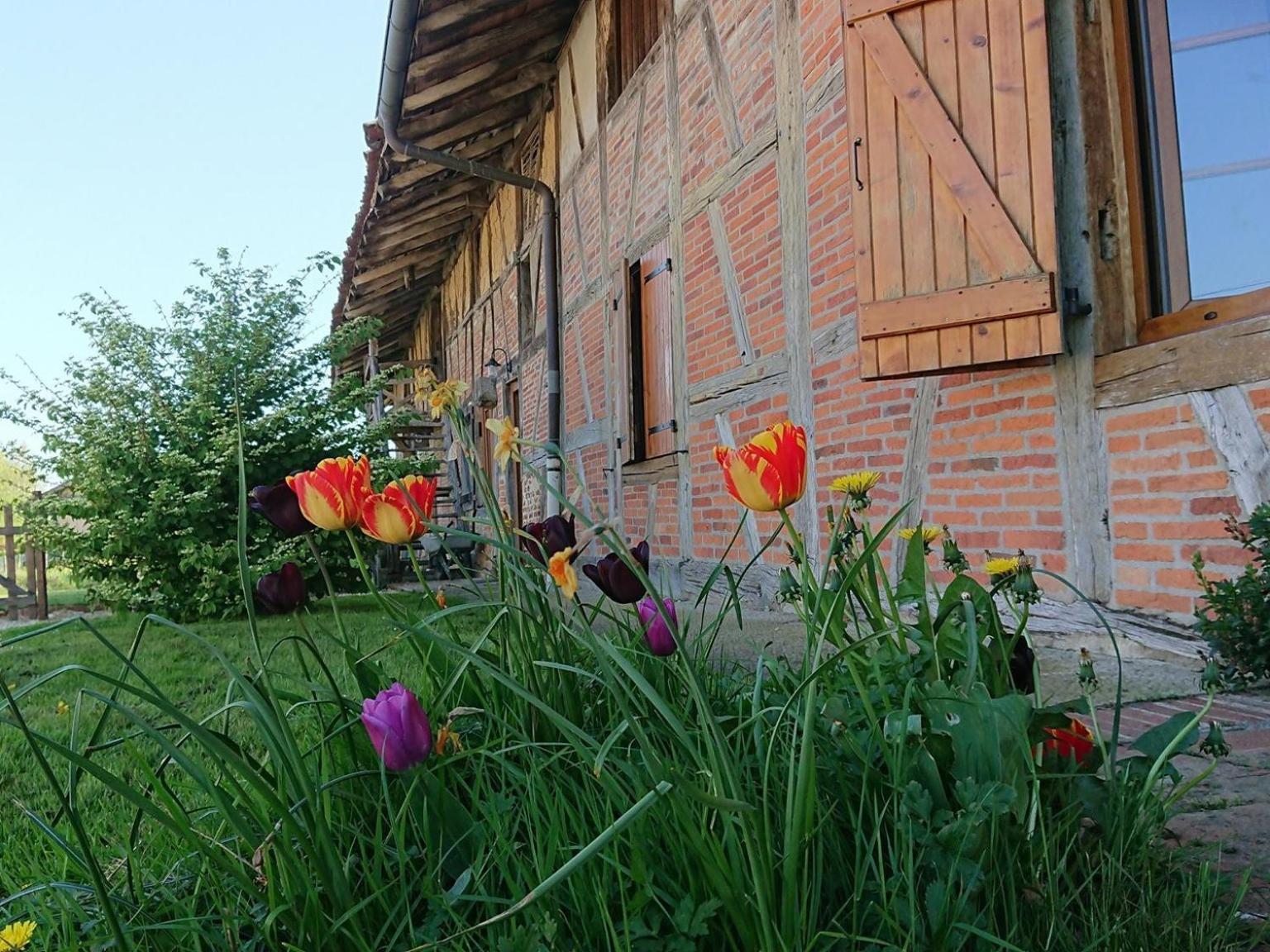 อา ลา ปูลาร์ด Villa Curciat-Dongalon ภายนอก รูปภาพ