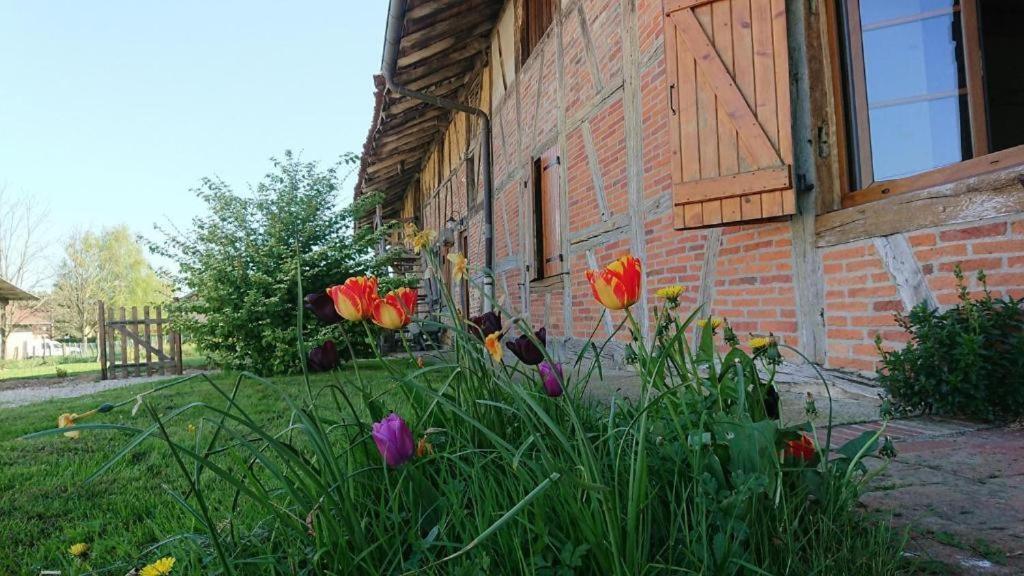 อา ลา ปูลาร์ด Villa Curciat-Dongalon ห้อง รูปภาพ